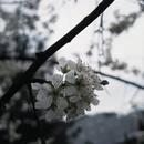黄冈旅游 缩略图 2