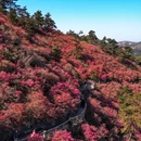 武汉旅游 缩略图 7
