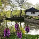 苏州旅游 缩略图 2