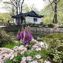 苏州旅游 缩略图 4