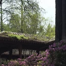 武汉旅游 缩略图 9