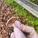 吉安旅游 缩略图 3