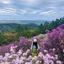苏州旅游 缩略图 11