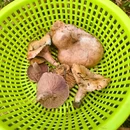 吉安旅游 缩略图 4