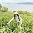 苏州旅游 缩略图 13