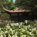 武汉旅游 缩略图 13