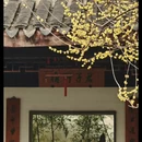 苏州旅游 缩略图 1