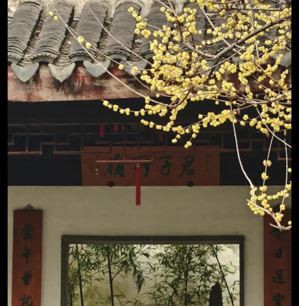 苏州旅游 1