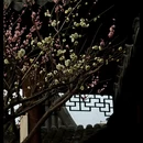 苏州旅游 缩略图 2