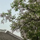 苏州旅游 缩略图 8