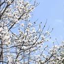 吉安旅游 缩略图 6