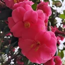 苏州旅游 缩略图 8