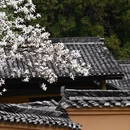 吉安旅游 缩略图 1