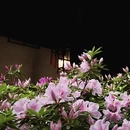 苏州旅游 缩略图 14