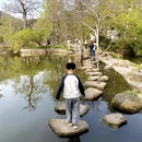 苏州旅游 缩略图 10