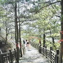 黄冈旅游 缩略图 9