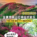 六安旅游 缩略图 1