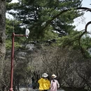 武汉旅游 缩略图 2