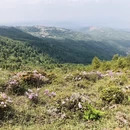 昆明旅游 缩略图 4