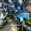 临沂旅游 缩略图 6