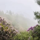 昆明旅游 缩略图 6