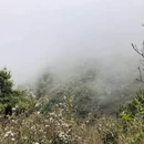 昆明旅游 缩略图 5