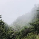昆明旅游 缩略图 7