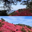 黄冈旅游 缩略图 2