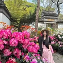 苏州旅游 缩略图 5