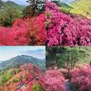 黄冈旅游 缩略图 3