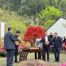 苏州旅游 缩略图 6