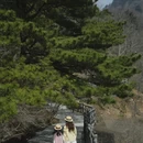 武汉旅游 缩略图 4