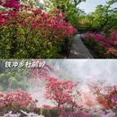 六安旅游 缩略图 3