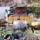 临沂旅游 缩略图 1