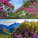 六安旅游 缩略图 4