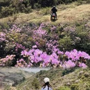 昆明旅游 缩略图 1