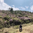 昆明旅游 缩略图 3