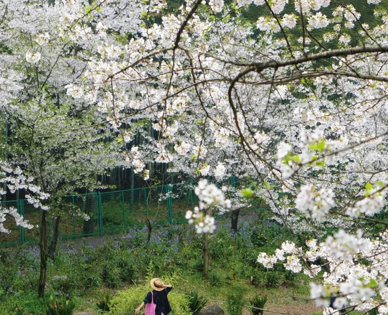 苏州旅游 1