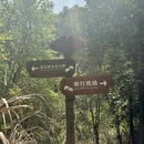 杭州旅游 缩略图 2