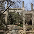 苏州旅游 缩略图 4