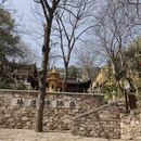 苏州旅游 缩略图 5