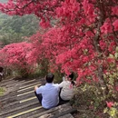 黄冈旅游 缩略图 1