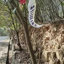 苏州旅游 缩略图 6