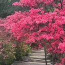 黄冈旅游 缩略图 2
