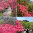 黄冈旅游 缩略图 5