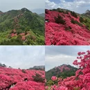 黄冈旅游 缩略图 6