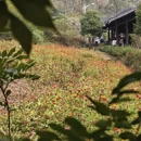 黄冈旅游 缩略图 13