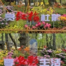 苏州旅游 缩略图 10