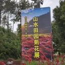 黄冈旅游 缩略图 14