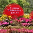 苏州旅游 缩略图 12